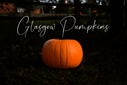 Gamaleon Script Font 7