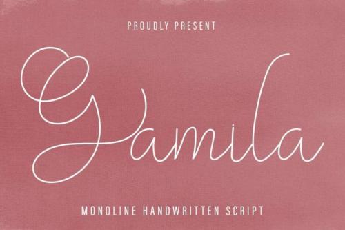 Gamila Thin Handwritten Font