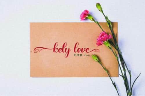Gardenia Font 4