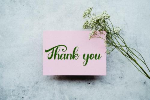 Gardenia Font 7