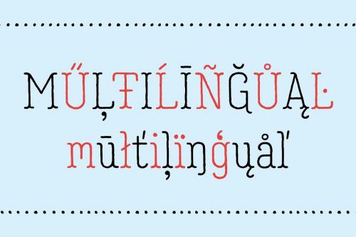 Garlic Salt Font Family 10