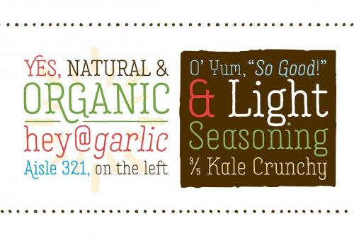 Garlic Salt Font Family 2