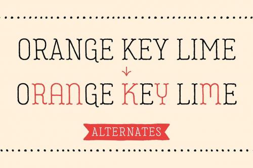 Garlic Salt Font Family 4