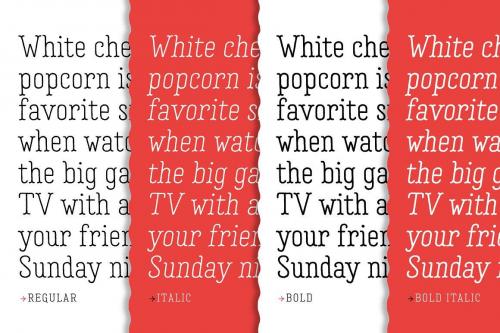 Garlic Salt Font Family 7
