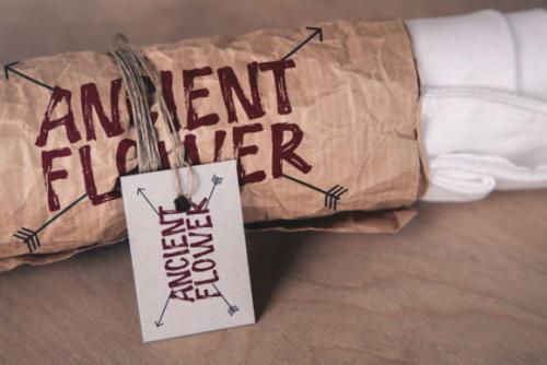 Ghost Walker Brush Font 2