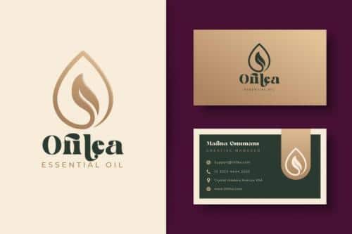 Goovy Modice Serif Font 4