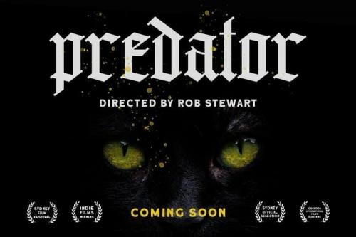 Grandice Blackletter Font 1