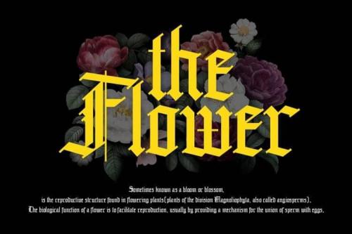 Grandice Blackletter Font 3