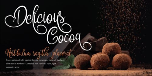 Grookey Shawn Script Font 2