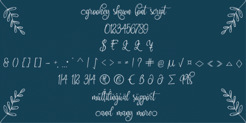 Grookey Shawn Script Font 5