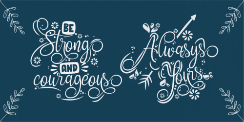 Grookey Shawn Script Font 7