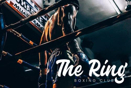 Guthenberg Bold Script Font  7