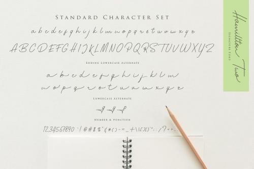 Hamillton Signature Font 10