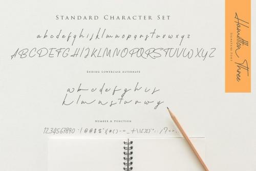Hamillton Signature Font 11
