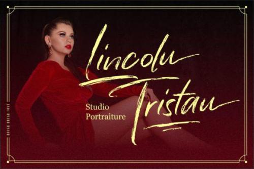 Han Le Tours Brush Font 2