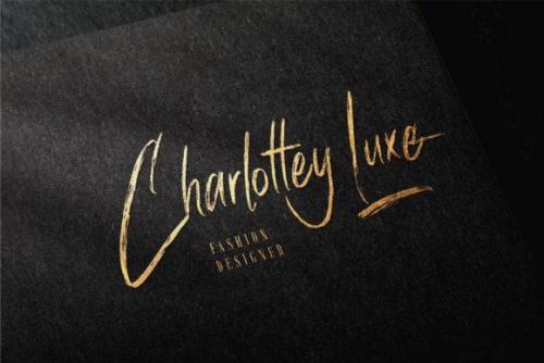 Han Le Tours Brush Font 3