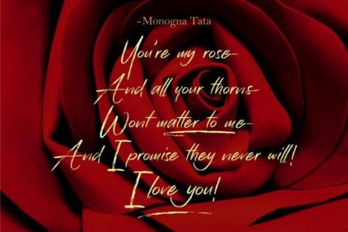 Han Le Tours Brush Font 9