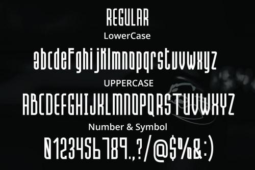 Hanca Sans Font Family 8
