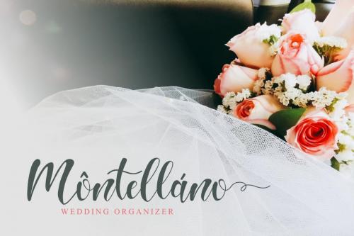 Hello Melda Script Font 2