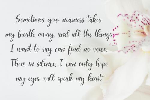 Hello Melda Script Font 5