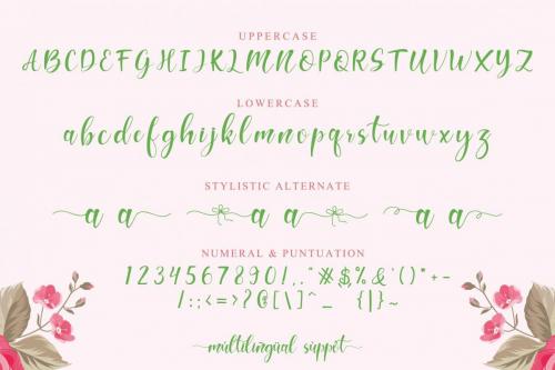 Hello Melda Script Font 6