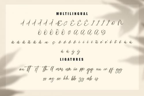 Honney Suggary Script Font 9