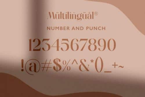 Hugolers Stylish Serif Font 4