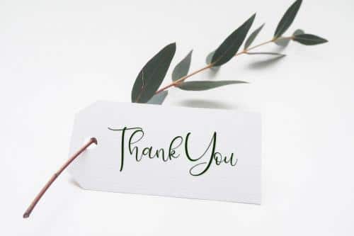 Isyana Script Font 8