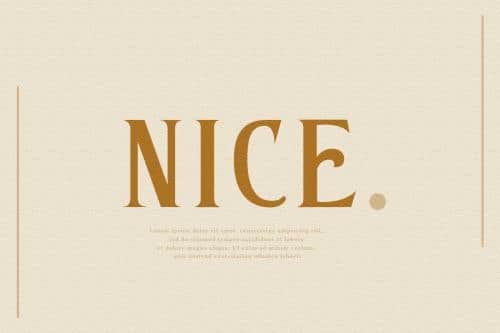 Kastel Voire Serif Font 4