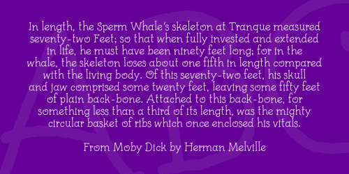 Kids Book Font Family 2