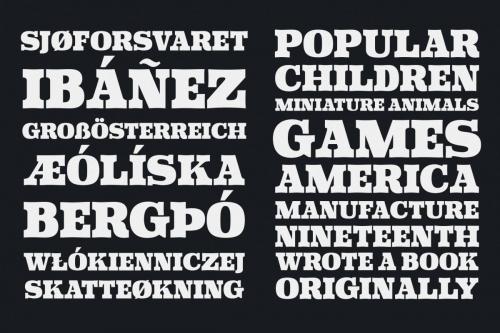 Klipan Black Font 6