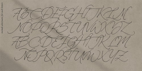 La Monte Script Font 3