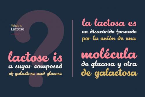 Lactosa Script Font 4