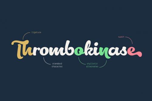 Lactosa Script Font 7