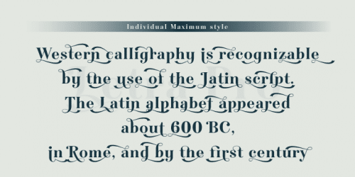 Letra Pro Headline Font 4