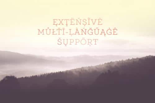 Locke Font Family 10