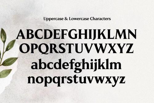 MADE Kenfolg Serif Font 12