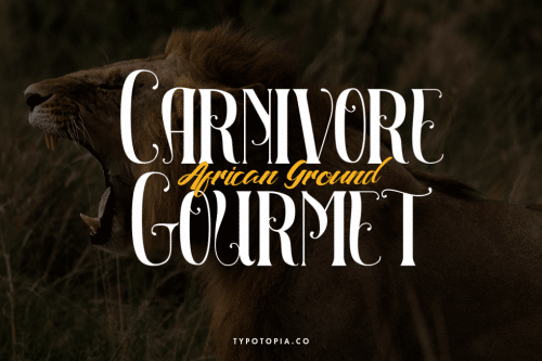 Maleficent The Elegant Display Font 6