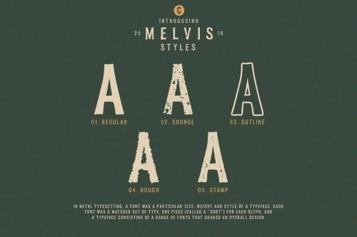 Melvis Vintage Font Family 4 (1)