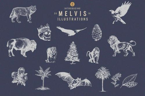 Melvis Vintage Font Family 6