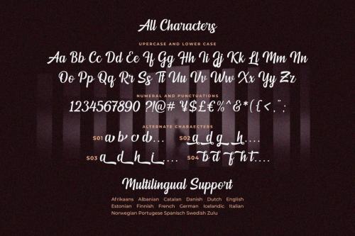Mendoan Script Font 11