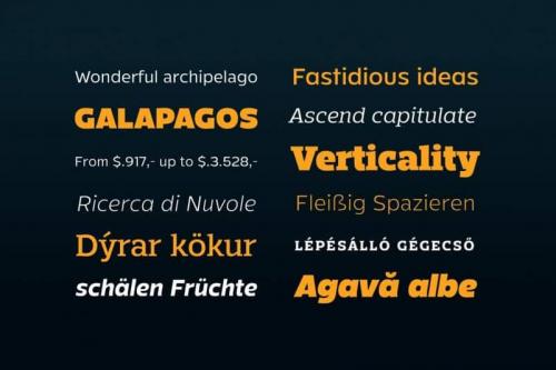 Mensch Sans Serif Font 3