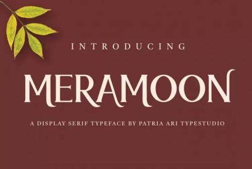 Meramoon Serif Font 1