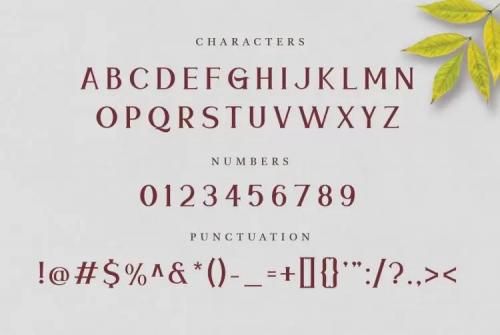 Meramoon Serif Font 6