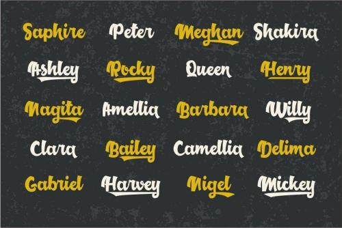 Middle Class Script Font 3