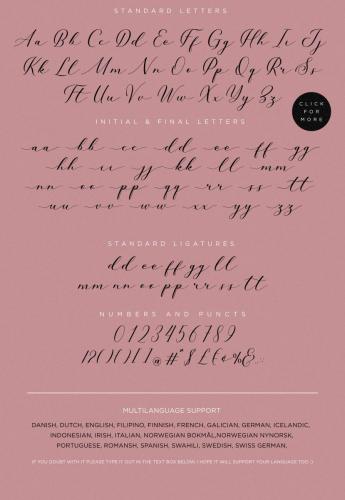 Millerstone Calligraphy Font 8