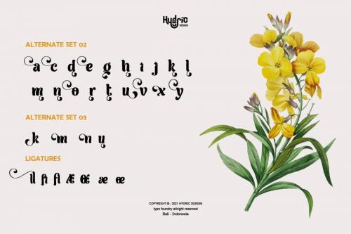 Milli Display Typeface 8