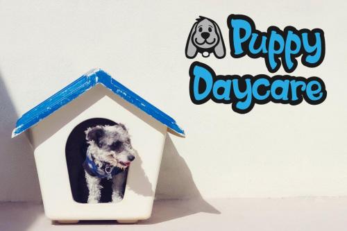 Mister Froggie Playful Font 4