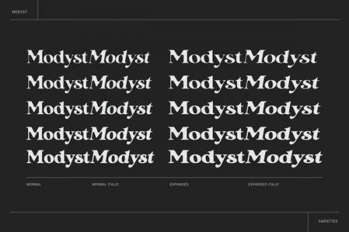 Modyst Serif Font 5