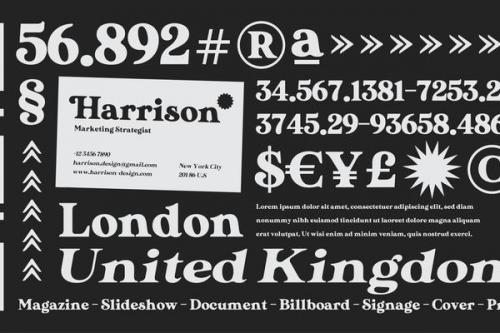 Modyst Serif Font 7